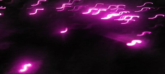 CaroNytra's profile banner image