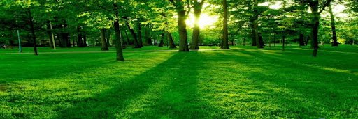 manthanskverma's profile banner image