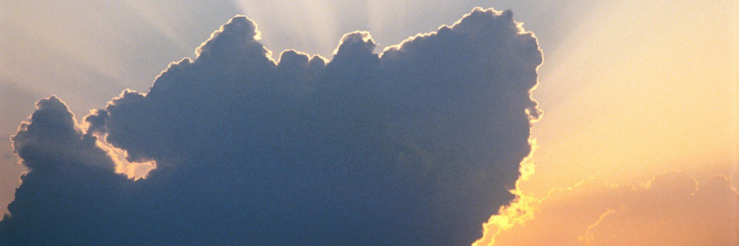 Екатерина Горлова banner