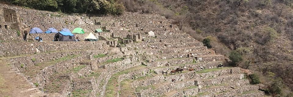 Rob Van herck banner