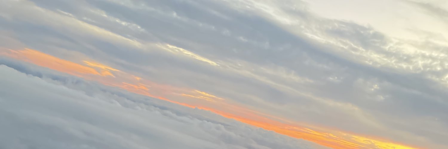 _nnylram's profile banner image