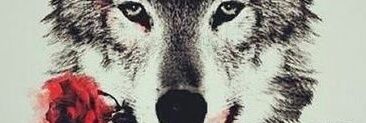 ArgemiroVasquez's profile banner image
