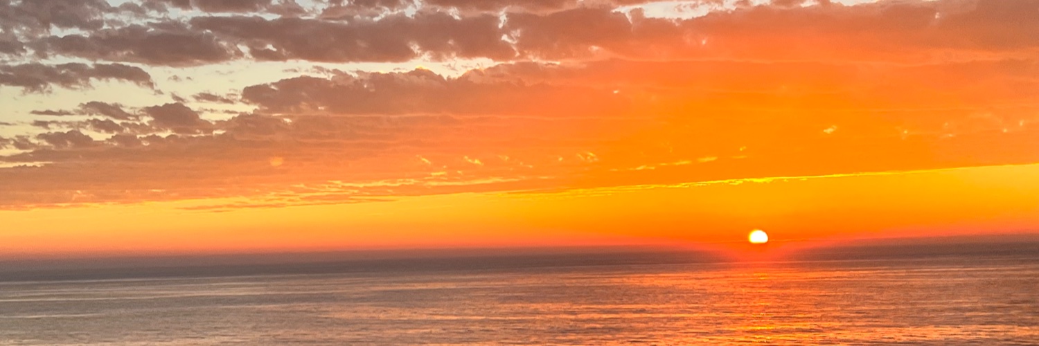 Shefali J Lakhina banner