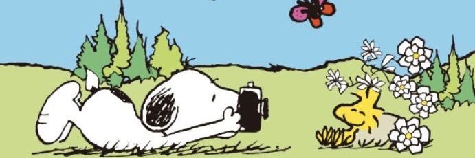 bringbackmyspace banner