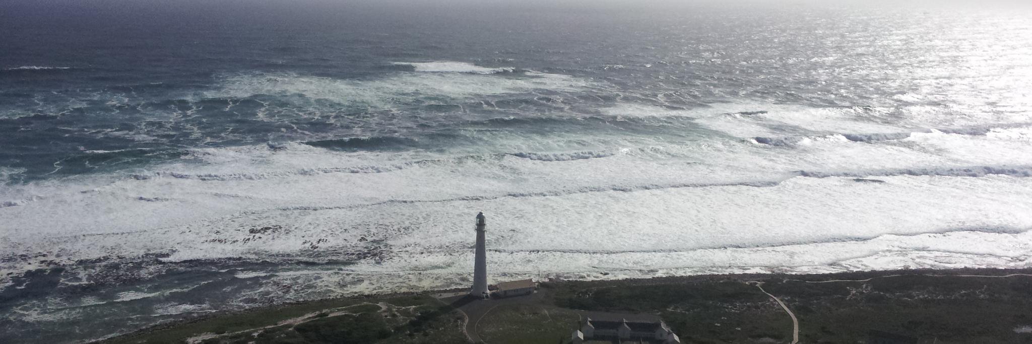 Athena Enderstein banner