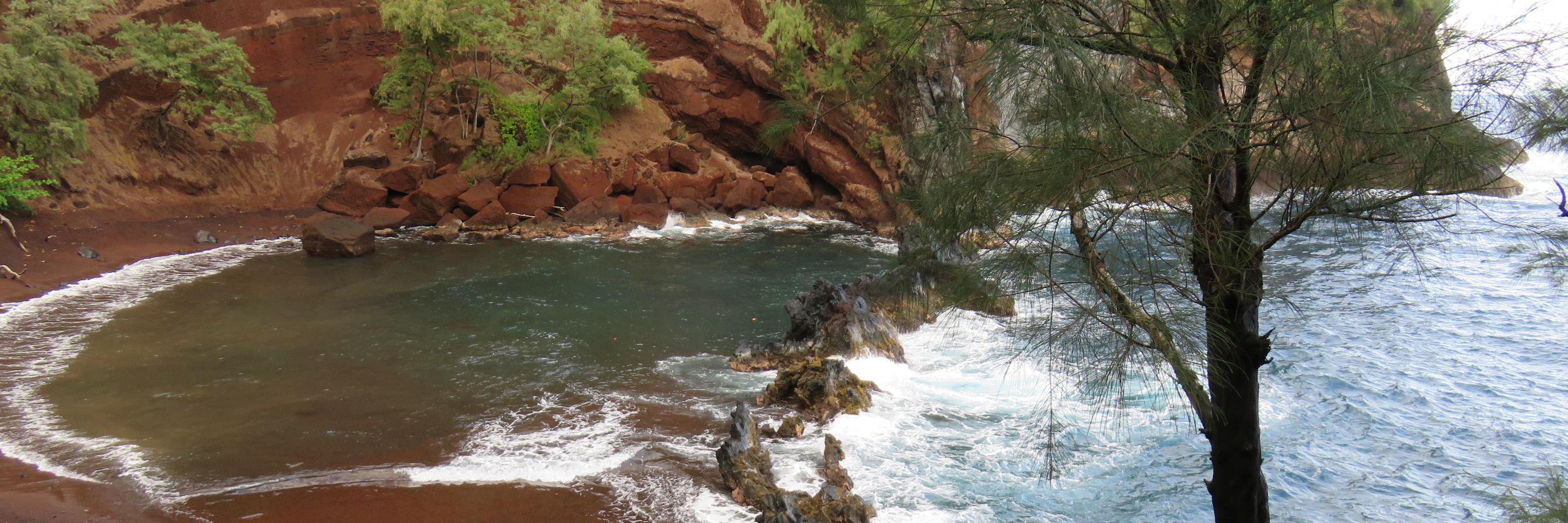 Cody Bryan Shelton banner