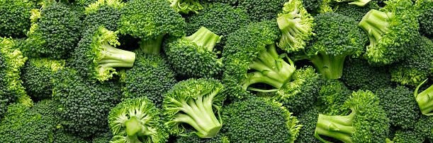 Mimothebroccoli's profile banner image