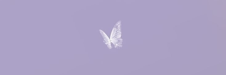 lavenderaiah's profile banner image