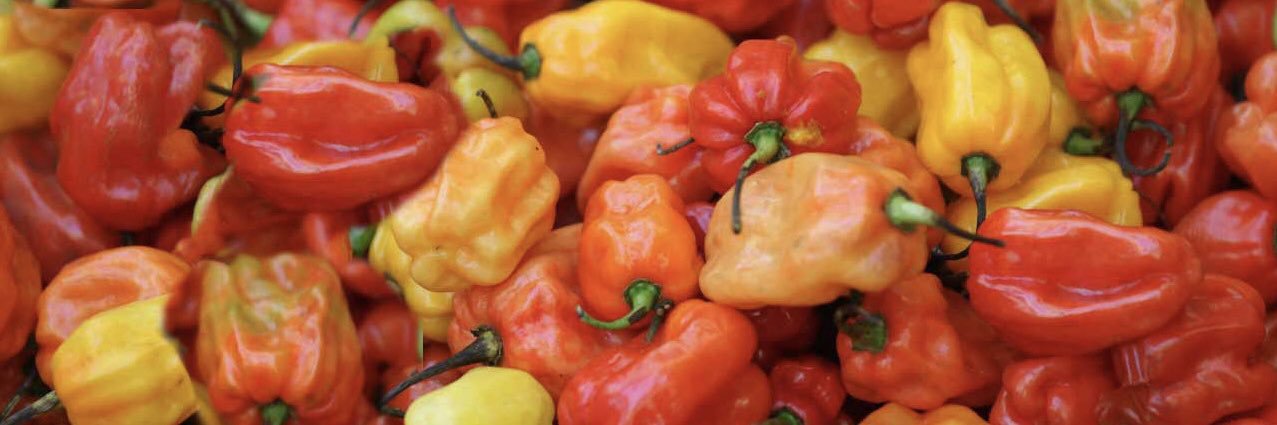 cu_spicy's profile banner image