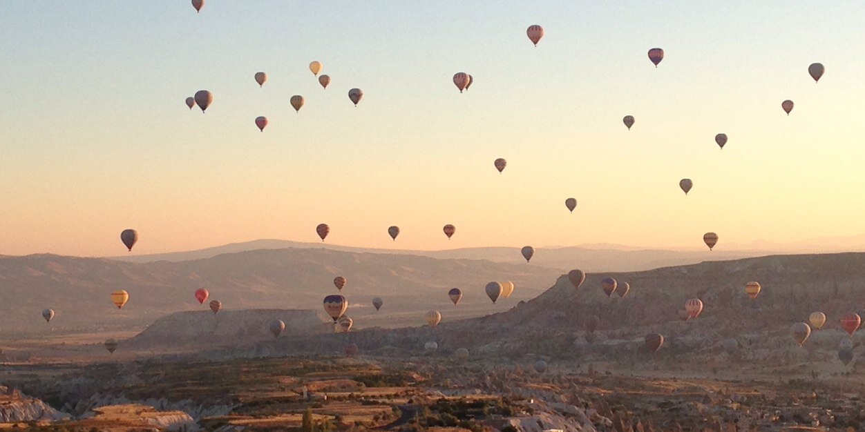 Dr Pauline Milne MBE 💙 banner