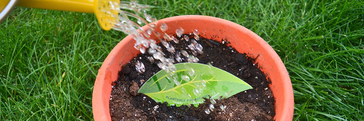 Botanical PaperWorks banner