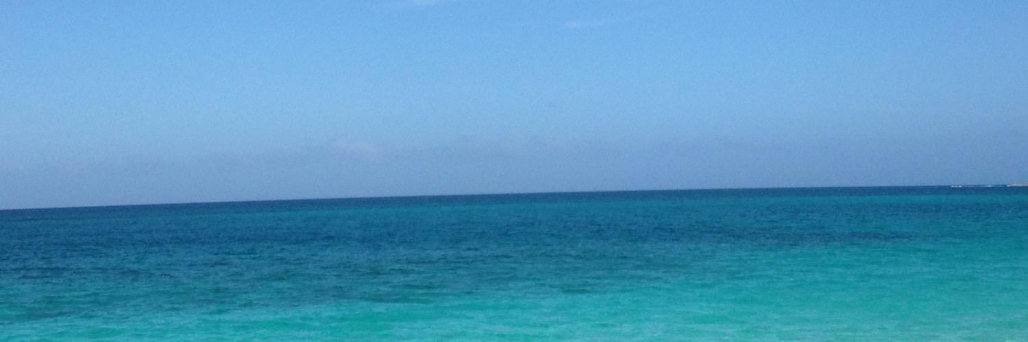 mcdaniem's profile banner image
