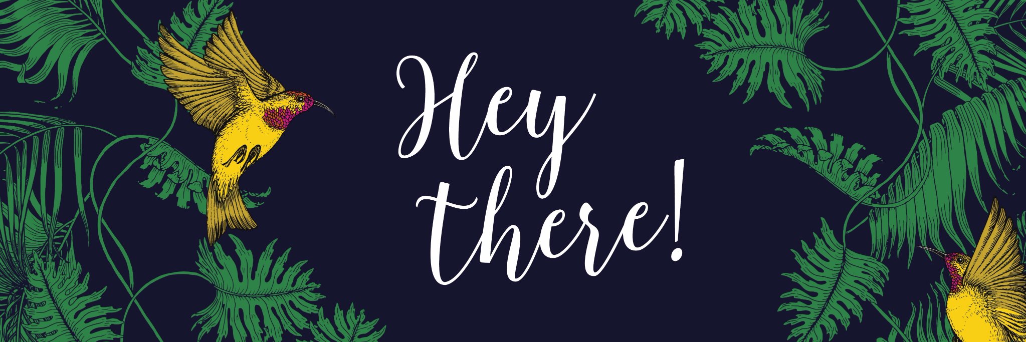 coolandco's profile banner image