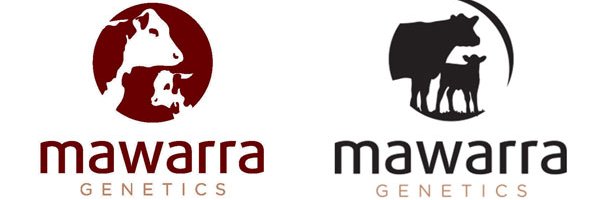 mawarrad's profile banner image