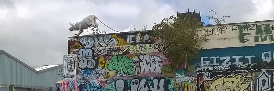 Selina Wallis's banner