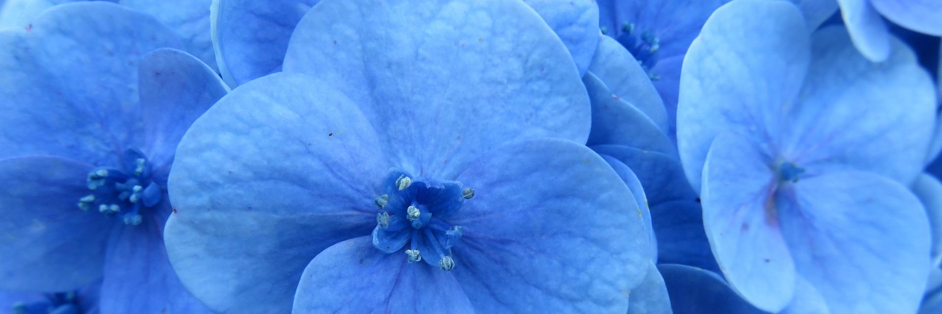 CrystalWriter1 banner