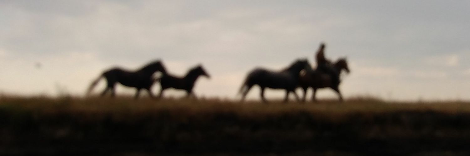 jorgeaceve's profile banner image