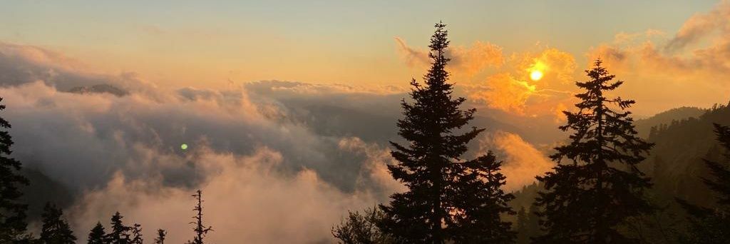 taha10907's profile banner image