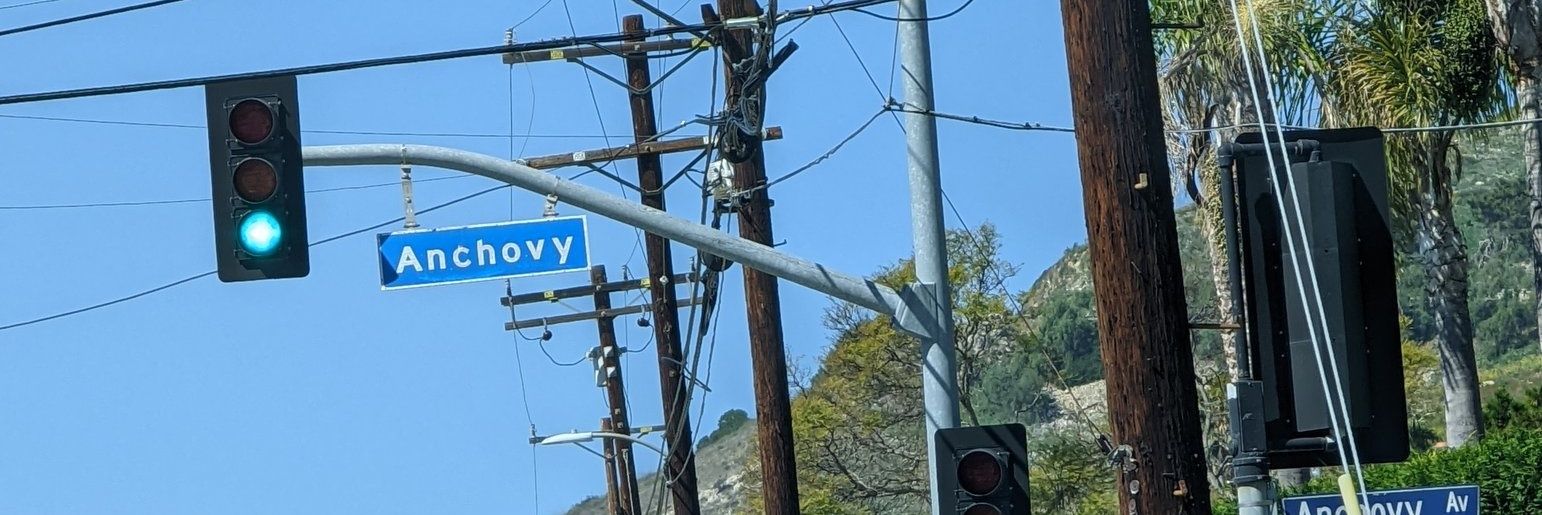 Anchovy Pizza 🇺🇸's banner