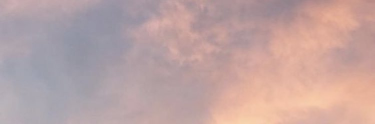 Melani_ms2's profile banner image