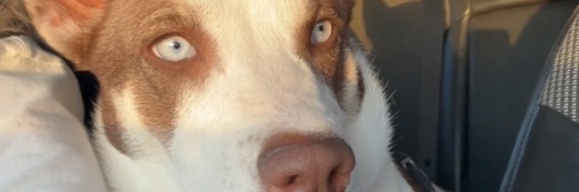 gee_mcnasty's profile banner image