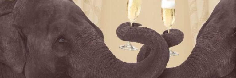 malibumacky's profile banner image
