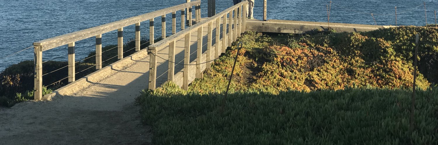 bertough's profile banner image