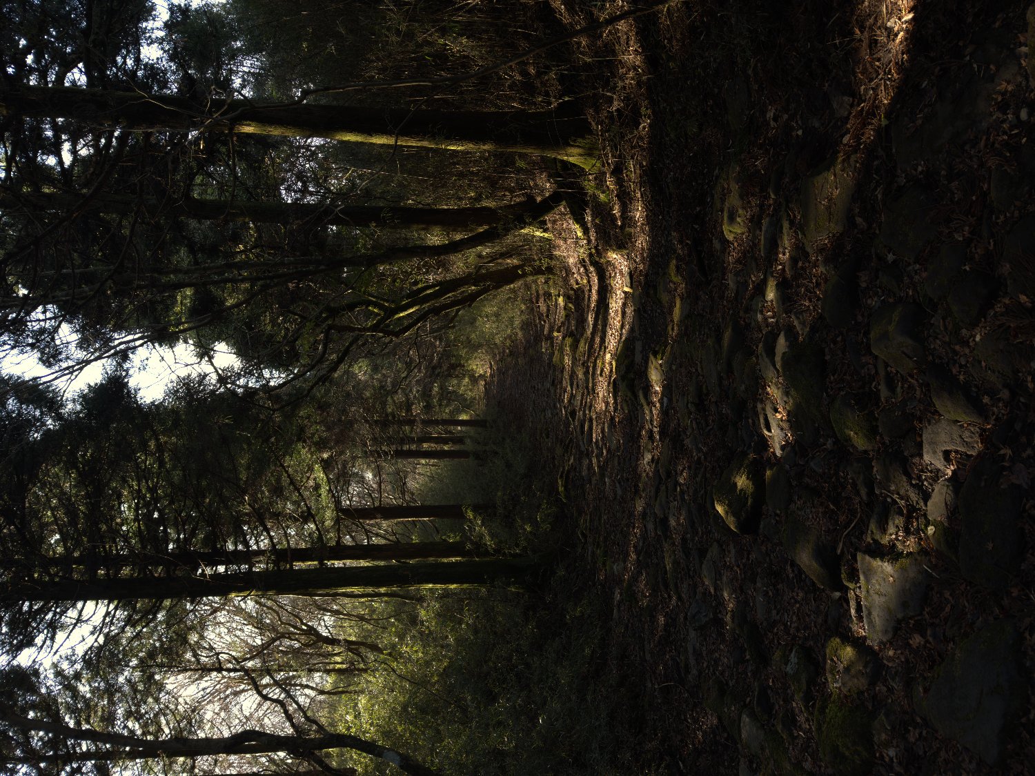 austinjupiter's profile banner image