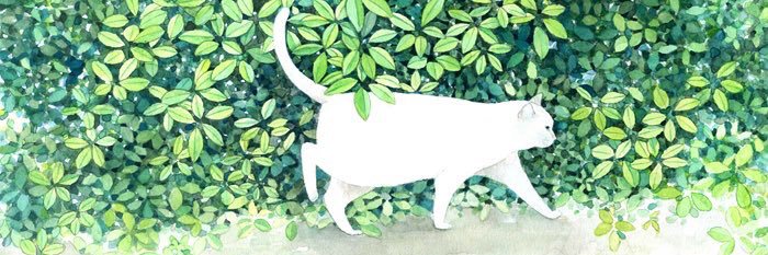 evgeneva_'s profile banner image