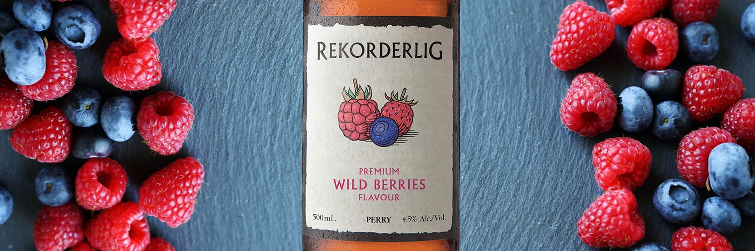 Rekorderlig SA banner