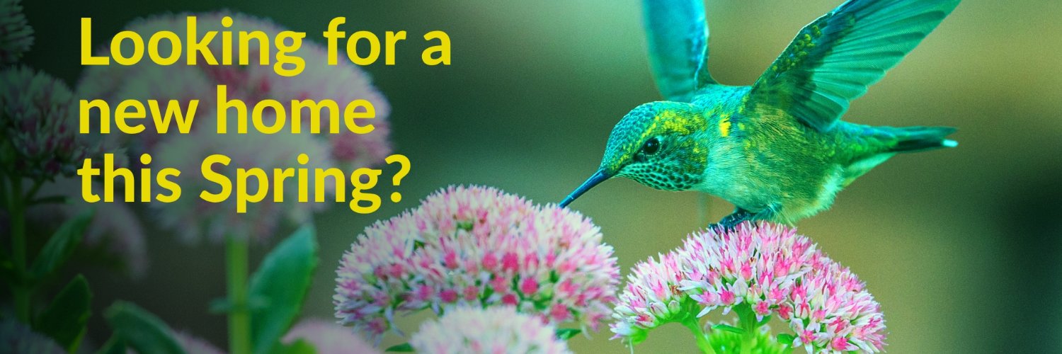 Field Palmer Estate Agents banner