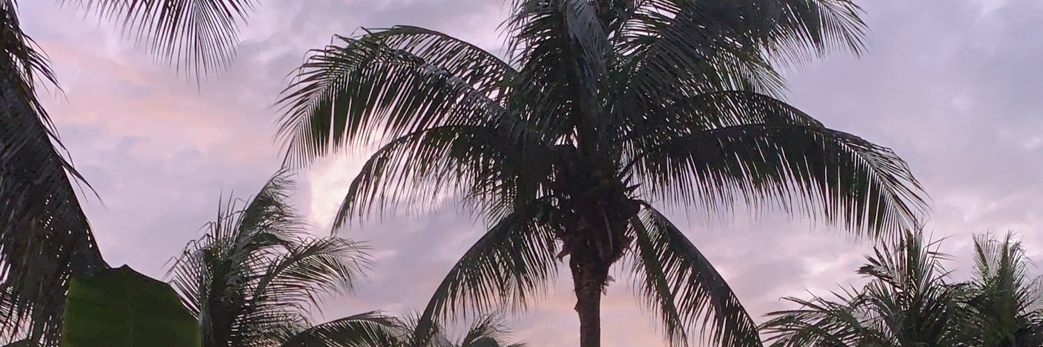 Mónica Pérez banner