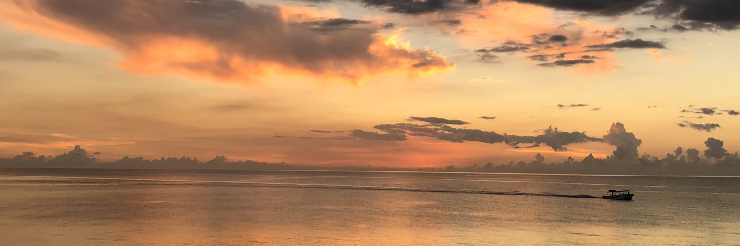 lholder2015's profile banner image