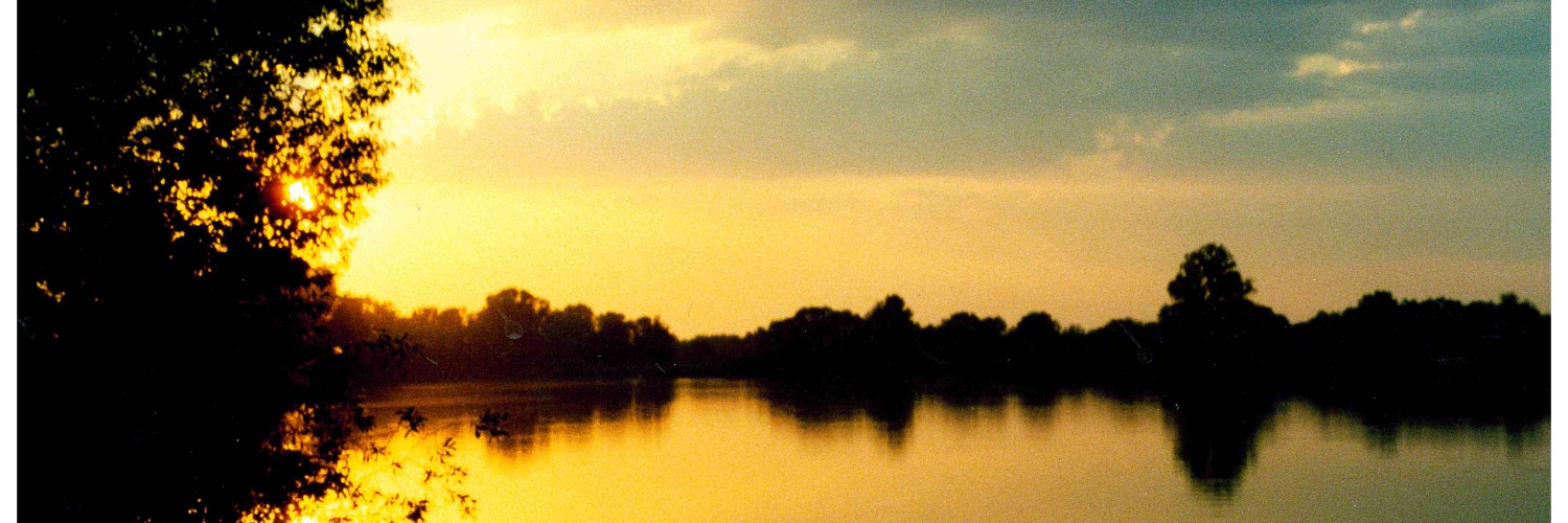 SelbyHouse's profile banner image