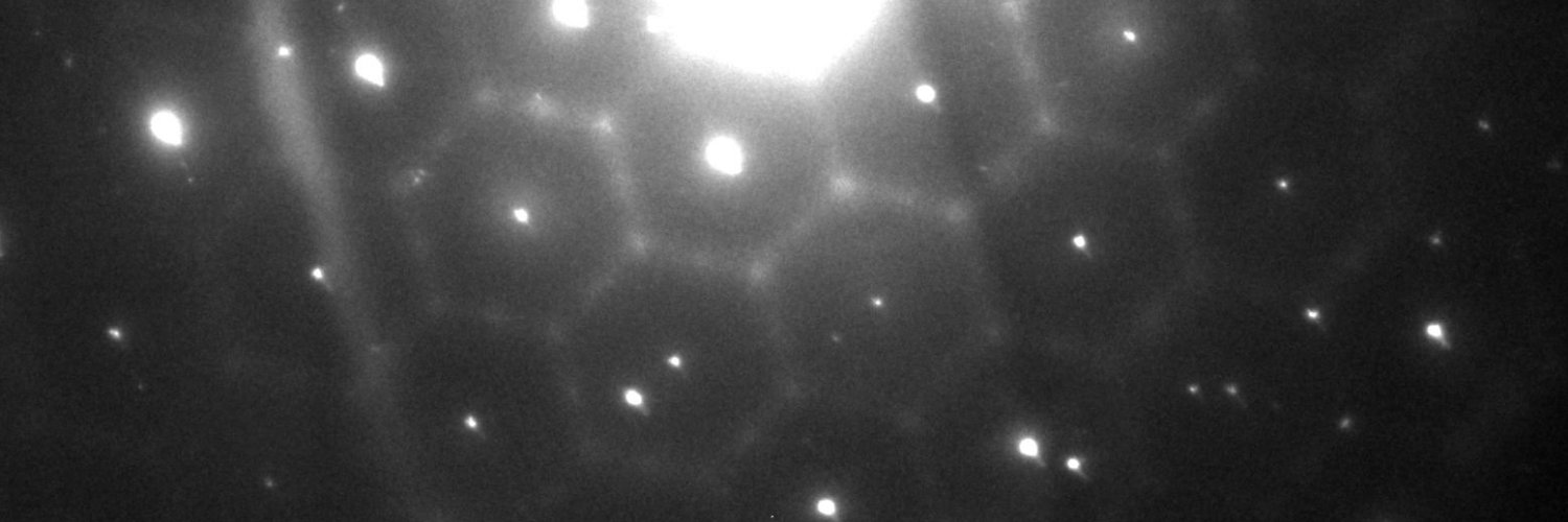 Alexander Zintler banner