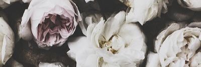 gabyavilaa's profile banner image