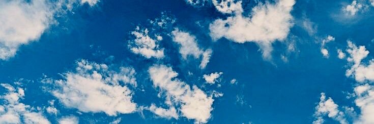 novaflex__'s profile banner image