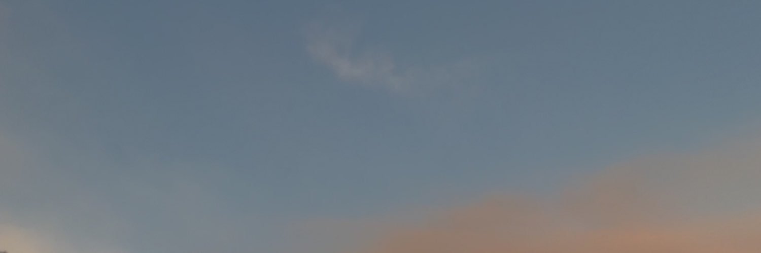 dannikfol's profile banner image