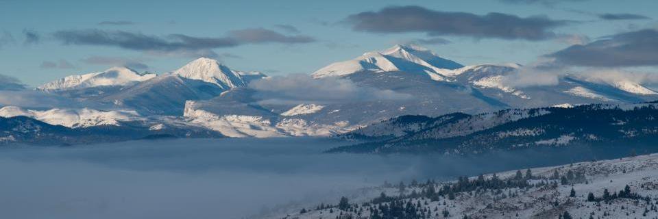 GrizGirl509's profile banner image