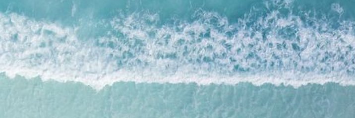 monicarosaless's profile banner image