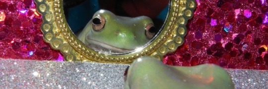 heewski's profile banner image