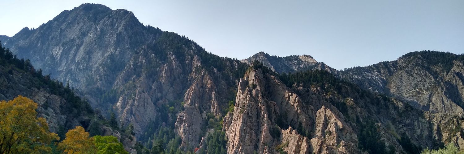 brauerre's profile banner image