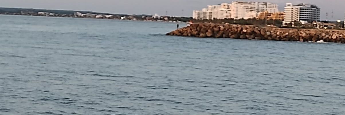 angela_352's profile banner image