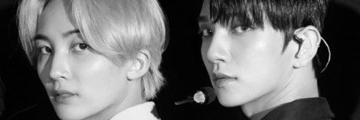 หนังแมว banner