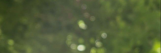 anhyseop's profile banner image