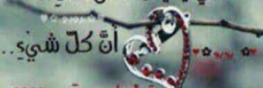 m2479m's profile banner image