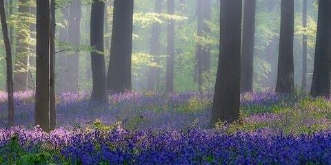 🌈MissBlue90🎧 banner