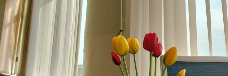 hugdalre's profile banner image