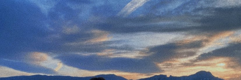 Spring Xactol banner