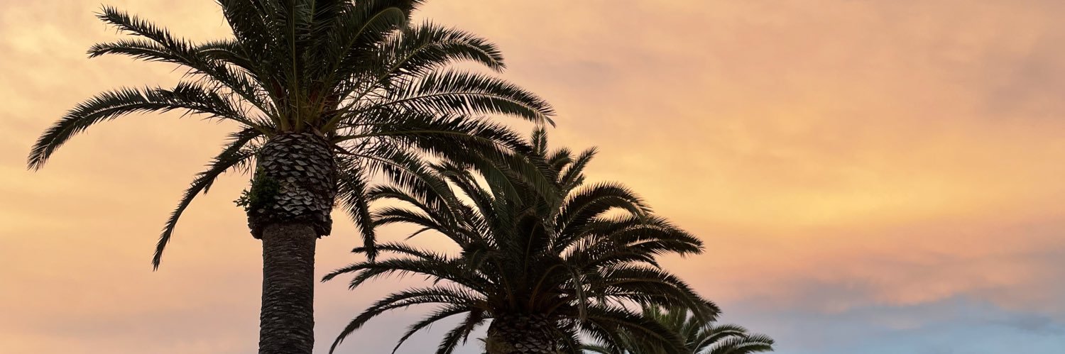 florencepsnn's profile banner image
